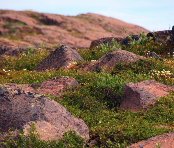 Diamond-and-Gold Flecked Rocks in Canada’s Far North May Signal Huge Riches