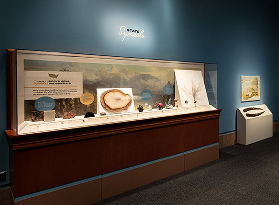 Smithsonian’s New Exhibit Celebrates America’s Gems, Gold and Fossils