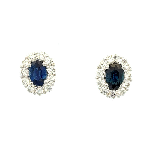Blue Sapphire Earrings by Apex, SKU 210-00400, main view — Moses Jewelers