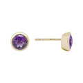 Amethyst Earrings