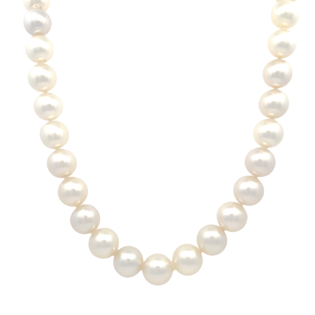 South Sea Pearls by Tara & Sons, Inc., SKU 340-28966, main view — Moses Jewelers