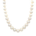 South Sea Pearls by Tara & Sons, Inc., SKU 340-28966, main view — Moses Jewelers