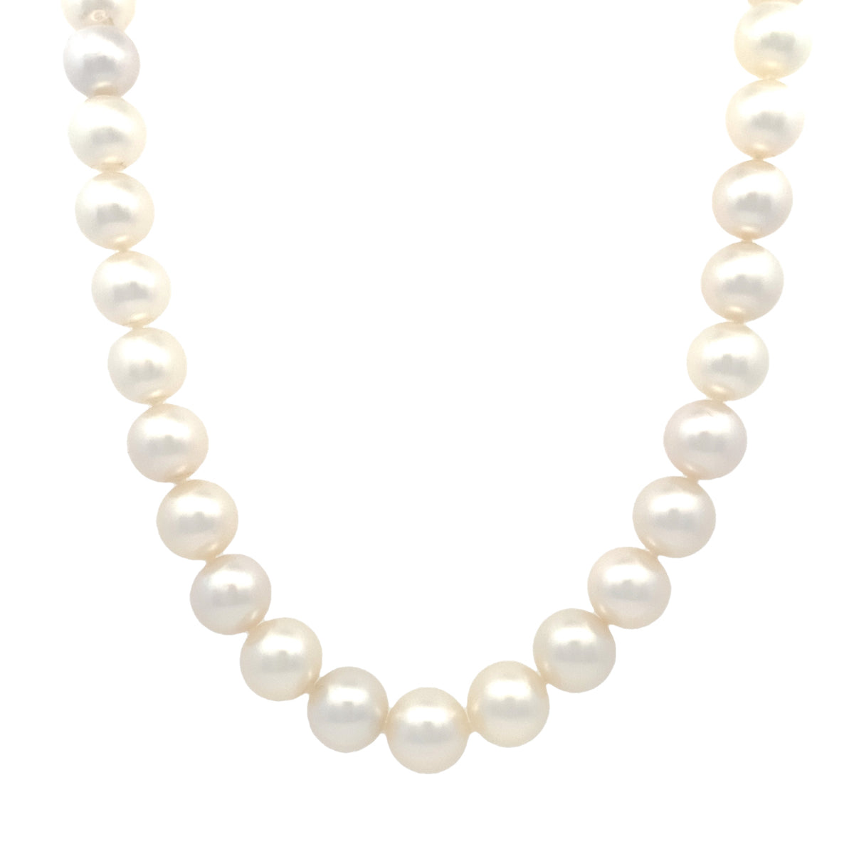 South Sea Pearls by Tara & Sons, Inc., SKU 340-28966, main view — Moses Jewelers