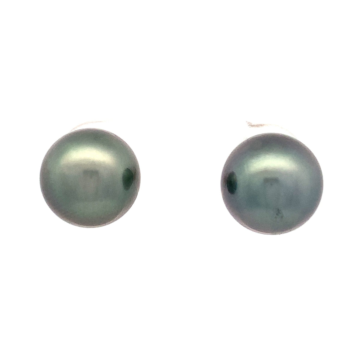 Tahitian Pearl Stud Earrings by Tara & Sons, Inc., SKU 340-29049, main view — Moses Jewelers