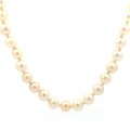Akoya Pearls by Moses Street, SKU 800-05170, main view — Moses Jewelers
