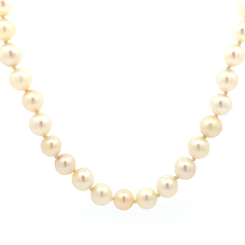 Akoya Pearls by Moses Street, SKU 800-05170, main view — Moses Jewelers