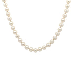 Akoya Pearls by Moses Street, SKU 800-05305, main view — Moses Jewelers
