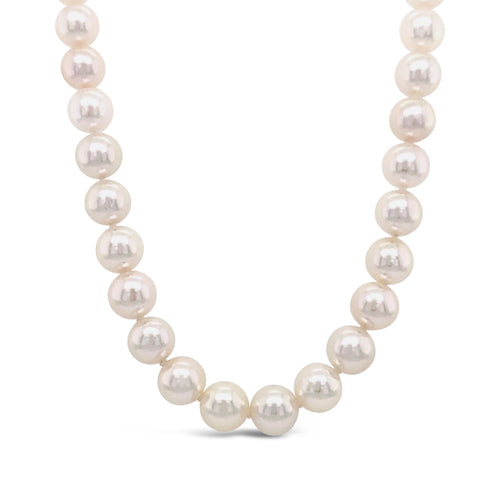 Akoya Pearls by Moses Street, SKU 800-05473, main view — Moses Jewelers