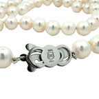 Akoya Pearls Signed "Mikimoto"
