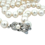 Akoya Pearls Signed "Mikimoto"