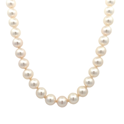 Akoya Pearls Signed "Mikimoto" by DG Jewelry Inc., SKU 800-05543, main view — Moses Jewelers