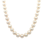 Akoya Pearls Signed "Mikimoto"