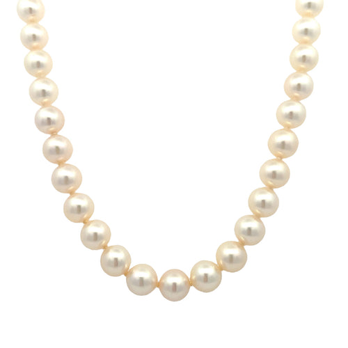 Akoya Pearls by Moses Street, SKU 800-05564, main view — Moses Jewelers